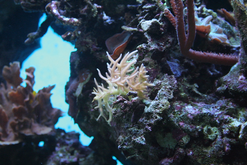 Killikus® Fotographie Killikus® Fotographie